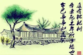 归有光的“今已亭亭如盖矣”名句，为何历几百年依然能深入人心？图片