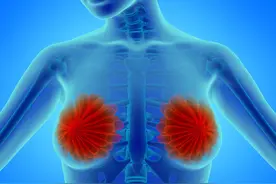 #健康 青春期的乳腺是怎么发育的呢？图片