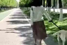 西安生活 热议的河堤路图片