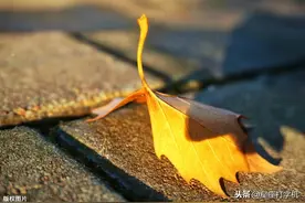 星座分析：对初恋念念不忘，爱情里拿得起却放不下，爱得卑微图片