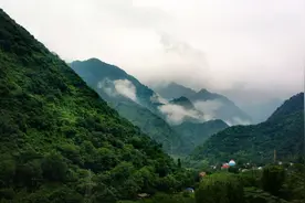 两位老人秦岭迷失，搜救一夜无果，关键时刻其中一人独自走出图片