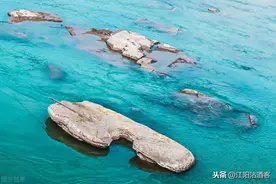 泸州传说中的“猪婆龙”到底是什么？难道古代泸州真有龙吗？图片