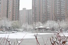 京城雪景拾趣：一场雪，一座城图片