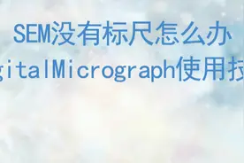 SEM没有标尺怎么办，这篇文章教你添加标尺图片