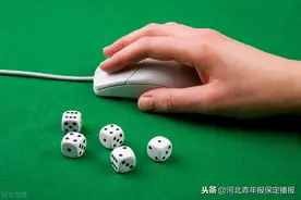 保定一女子利用微信组织网络赌博赚抽成被刑拘图片