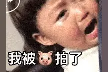 拍一拍表情包：拍完猪就跑真刺激图片