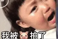 拍一拍表情包：拍完猪就跑真刺激图片