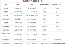 6月昆明10项目开盘 有盘6300有盘20000+图片