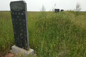 农村俗语：“坟头塌陷少子孙，坟头有草家生金”是啥意思？图片