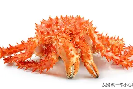 500万开一家海鲜酒店，3个月后，老板哭晕在厕所，我却微微笑了图片
