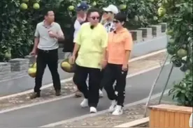 吴京于谦摘柚子，宋小宝在一旁提篮？于谦老婆衣服太鲜艳靓过谢楠图片