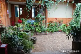 在农村打造出这样的一个小院，哪怕孤独终老，想必也能处之泰然！图片