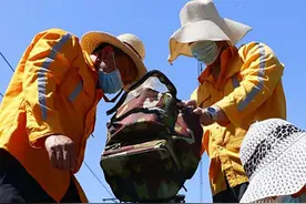 这群人工作在海滨，为啥晒不黑？图片