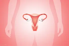 女性子宫里真的有“垃圾”要清理吗？不要再被骗了图片
