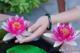 高考语文模拟试题：江苏省苏州市高三语文上学期期末考试试题答案图片