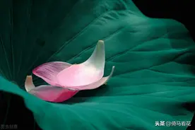 人生在世，这五种话，能不说就不说图片