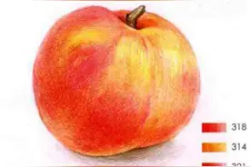 简单绘画上色技巧-通用彩色铅笔入门练习-桃子图片