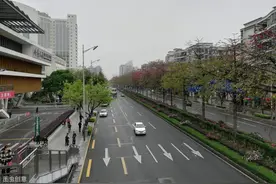 好消息！广佛010市际公交即将上线，从佛山汽车站到省汽车站图片