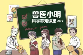 把主子带回家，剩下的都交给它？宠物并没有这么大的本事图片