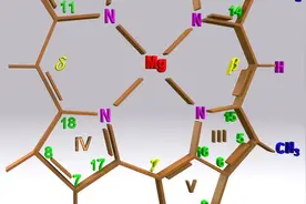准高三必看的！2020全国高考生物Ⅱ卷所涉及的教材显性知识图片