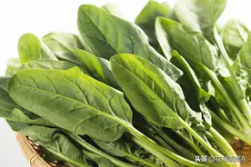 这4种蔬菜必须要焯水，今天才知道原因，看后赶快告诉家人图片