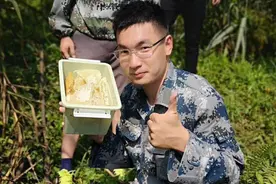 蜜蜂春季管理图片