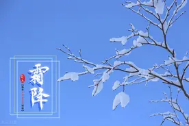 Tekla教程 系列教程①  以后每日一更 谢谢关注图片