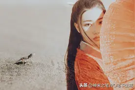 国际诗歌·剑雨浮生/歌词·锦衣卫图片