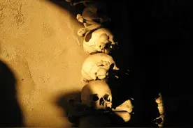 1347年，无孔不入的老鼠，让欧洲人的黑死病防御战完败图片