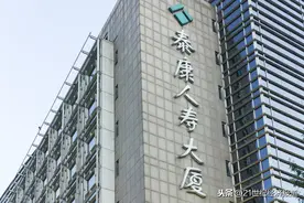 泰康保险集团总裁刘挺军：泰康在湖北累计投资将近600亿图片