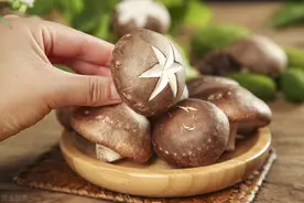 泡发香菇很多人泡错了，厨娘教你一招，5分钟泡发好，又快又干净图片