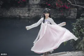 红豆生南国图片