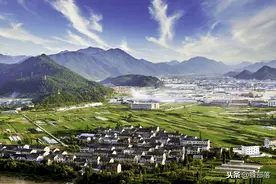 曾经农村人公认的野草，如今1斤卖到20元，车钱草的魅力在哪？图片