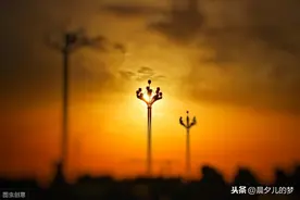 关于婚姻的大实话（合集）图片