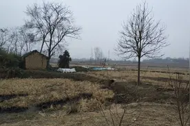 爷爷的小酒局：为了炖肉不到冬天就生起火炉，散白酒喝得很舒坦图片