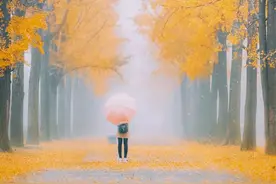 秋季摄影的20个秘诀，拍摄时请对照使用，让您的作品脱颖而出图片