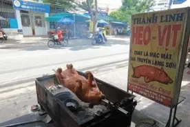 旅游途中吃烤乳猪，1200元买了一整只，切开后这是烤猪？图片