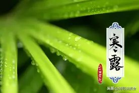 明天寒露，再馋也要少吃三样，多食三白，合理饮食，家人更健康图片