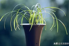 谁知林栖者，闻风坐相悦。草木有本心，何求美人折！图片
