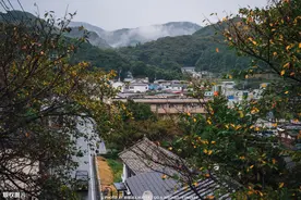 去日本前要知道的事情有哪些？这些日本“防坑”知识让你合理避坑图片