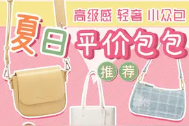 夏季轻奢包包推荐｜小众设计の高级时尚感图片