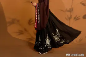 2020新款晋制齐腰汉服二郎神，配色高级雅致，男女同款时尚霸气图片