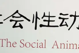 ​《社会性动物》：你和你想的不一样图片