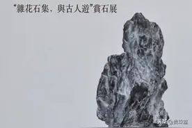 文人赏石，仁者洞天图片