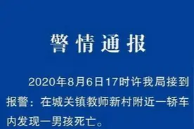 2岁半男童被忘车内8小时后离世，被发现时全身发紫，身上有抓痕和水泡图片