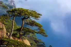 岂不罹凝寒，松柏有本性图片