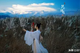 《菜根谭》：外界的声音可以参考，但是不必完全接纳图片