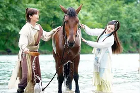 金庸笔下坐骑、兵器的“神翻译”有了感情海东青也是小萌宠图片