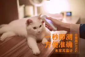 一秒即测，方便准确，米家耳温计图片