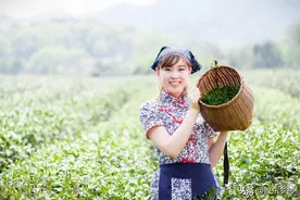 2021年是牛年，农村老农民说牛马年好种田，这是真的吗？图片